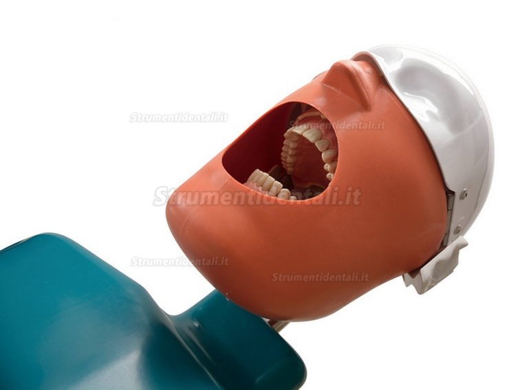 Jingle JG-C4 Manichino didattico per odontoiatriche (Attaccare al tipo di poltrona odontoiatrica)